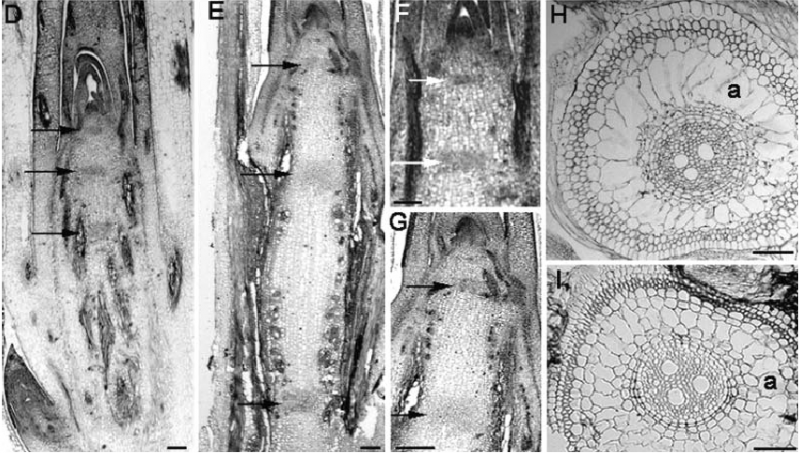 File:Figure6-2.png