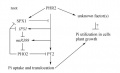 Thumbnail for version as of 08:11, 6 June 2014