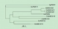 Thumbnail for version as of 08:59, 5 February 2015