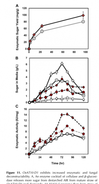 File:Figure 11xxy.png