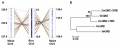 Thumbnail for version as of 05:31, 23 May 2014