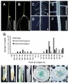 Thumbnail for version as of 00:52, 11 June 2014