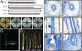 Thumbnail for version as of 09:14, 1 June 2014