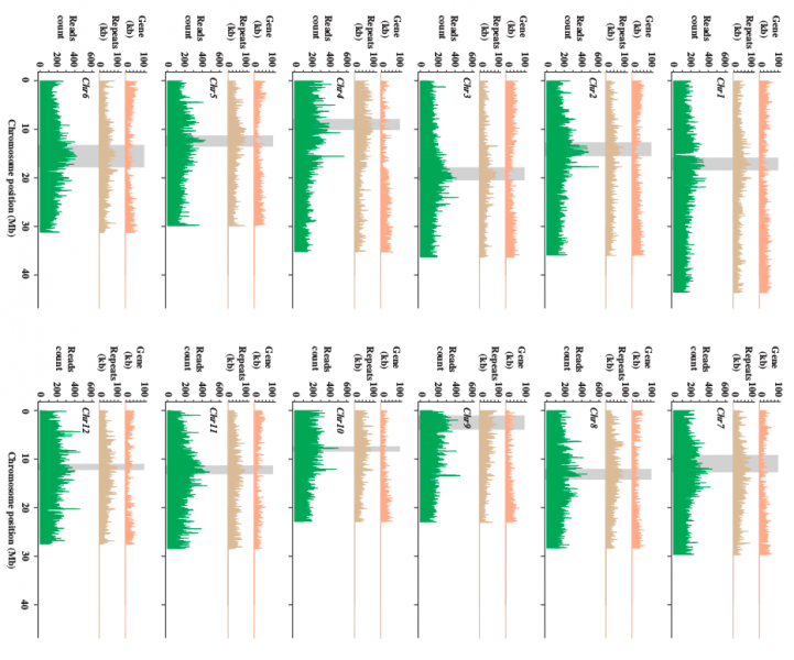 File:IC4R005-Epigenomic-2016-20487381-2.png