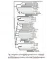Thumbnail for version as of 12:05, 25 May 2014