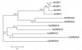 Thumbnail for version as of 09:08, 22 May 2014