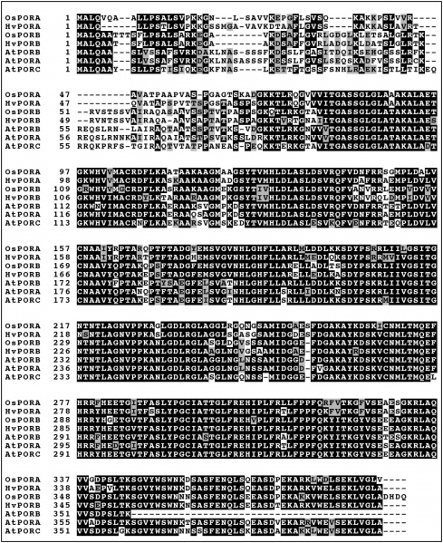 File:Figure S4y.jpg