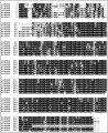 Thumbnail for version as of 02:58, 10 June 2014