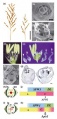 Thumbnail for version as of 13:14, 8 June 2014