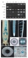 Thumbnail for version as of 18:22, 28 May 2014