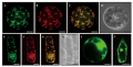 Thumbnail for version as of 05:14, 4 June 2014