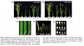 Thumbnail for version as of 08:53, 9 June 2014