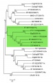 Thumbnail for version as of 14:16, 23 May 2014