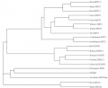Thumbnail for version as of 13:41, 6 June 2014