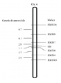 Thumbnail for version as of 07:13, 24 May 2014