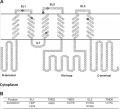 Thumbnail for version as of 07:29, 3 June 2014
