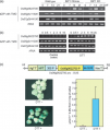 Thumbnail for version as of 15:04, 19 May 2014