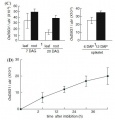 Thumbnail for version as of 19:16, 3 January 2015