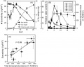 Thumbnail for version as of 07:53, 5 June 2014