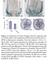 Thumbnail for version as of 03:14, 9 June 2014