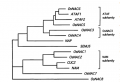 Thumbnail for version as of 07:53, 17 May 2014