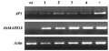 Thumbnail for version as of 10:51, 2 June 2014