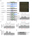 Thumbnail for version as of 09:02, 12 June 2016