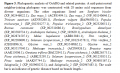 Thumbnail for version as of 17:59, 1 June 2014