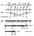 Thumbnail for version as of 14:34, 13 May 2014