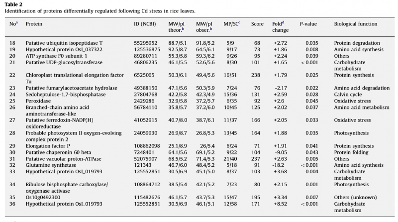 File:IC4R007-Proteomic-2010-19853963-3.png