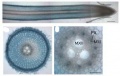 Thumbnail for version as of 08:49, 13 August 2013