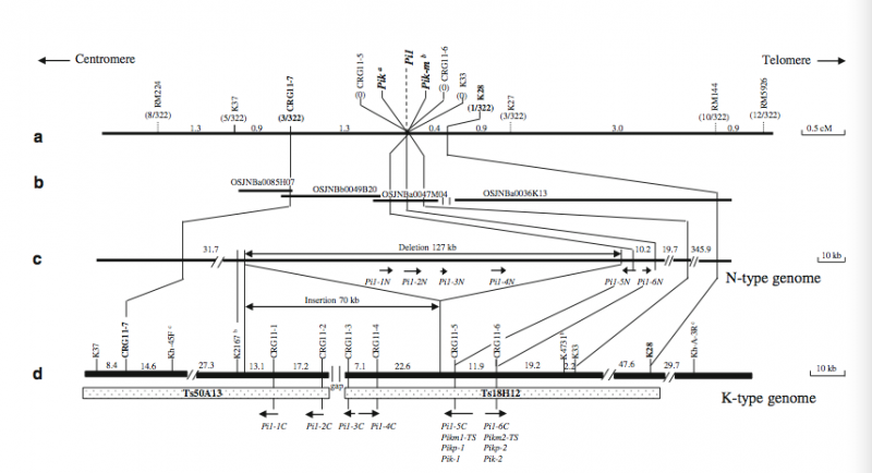 File:WuhuijunFig 2.png