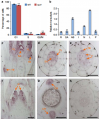 Thumbnail for version as of 02:52, 8 June 2014