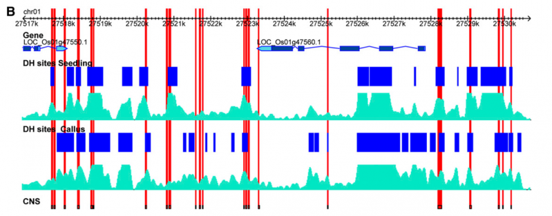 File:IC4R006-Epigenomic-2016-22110044-2.png
