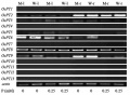 Thumbnail for version as of 15:58, 4 June 2014