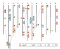 Thumbnail for version as of 13:38, 6 June 2014