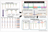 IC4R-GWAS-overview-2.png