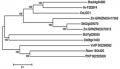 Thumbnail for version as of 11:14, 21 May 2014