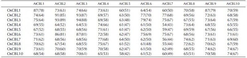 File:Table1.jpg