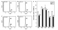 Thumbnail for version as of 03:05, 30 May 2014