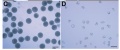 Thumbnail for version as of 09:17, 23 May 2014