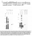 20140601161505.png