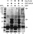 Thumbnail for version as of 13:20, 9 June 2014