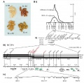 Thumbnail for version as of 08:19, 10 June 2014
