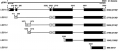 Thumbnail for version as of 10:55, 21 May 2014
