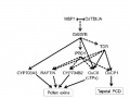 Thumbnail for version as of 14:19, 23 May 2014
