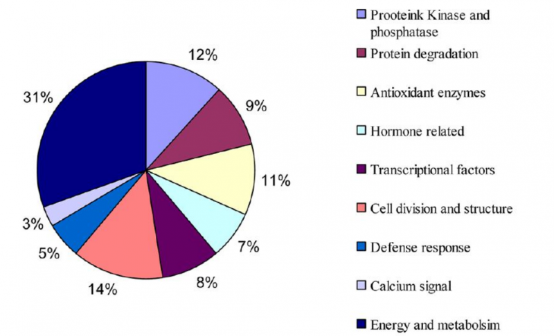 File:IC4R002-Proteomic-2013-23327584-2.png