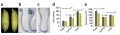 Thumbnail for version as of 01:36, 5 June 2014