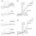 Thumbnail for version as of 07:17, 7 June 2014