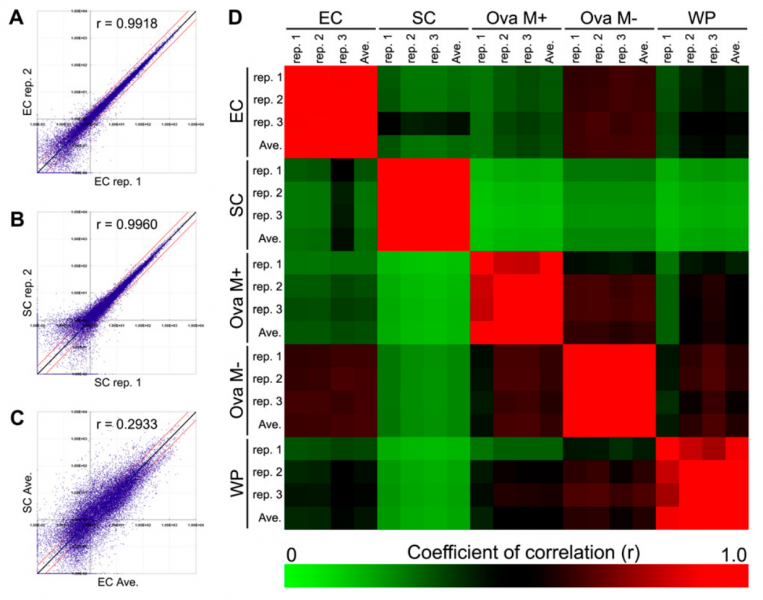 File:IC4R001-Microarray-2011-221106719-2.png
